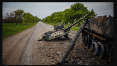 تصویر از طبیعت، قربانی خاموش جنگ‌ها