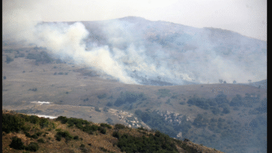 تصویر از چه کسانی زاگرس را آتش زدند؟