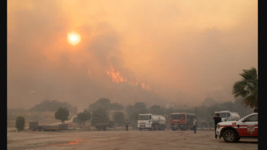 تصویر از فرار هزاران نفر در پی آتش سوزی های جنگلی در ترکیه و فرانسه