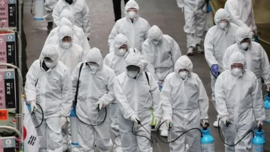 تصویر از کووید-۱۹ جهان را دیوانه کرد