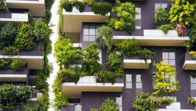 تصویر از بحران اقلیم از پنجره‌ها وارد می‌شود