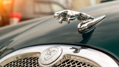 تصویر از انتقاد یک طراح مشهور از کانسپت جگوار