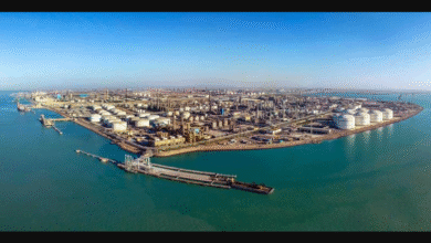 تصویر از نگرانی صنعت پتروشیمی از نصف شدن تخصیص گاز در زمستان