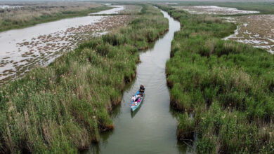 تصویر از بهشت شادگان جهنم نفتی شد