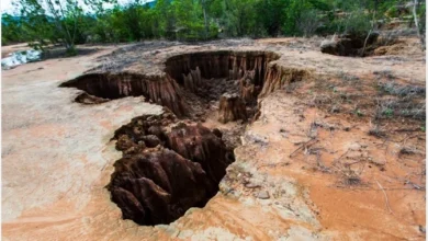 تصویر از چگونه اقدامات حفاظتی آمریکا خشکسالی و فرسایش خاک را مهار کرد؟