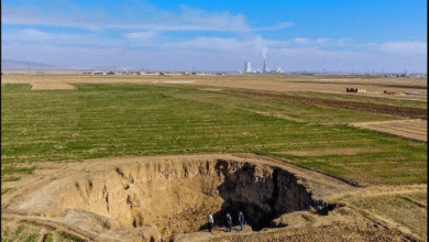 تصویر از انفعال در بحران