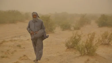 تصویر از روایتی از خشکسالی بی‌سابقه در سیستان و بلوچستان