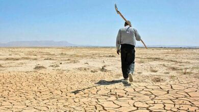 تصویر از ولع هیات‌های حاکمه برای توسعه زادگاه‌هایشان؛ بلای جان آب شد