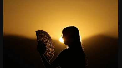 تصویر از شمار روزهای سوزان در کلانشهر‌ها رکورد زد