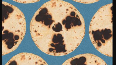 تصویر از دولت ترامپ به شرکت‌های انرژی هسته‌ای دسترسی به پلوتونیوم در سطح تسلیحاتی پیشنهاد می‌دهد