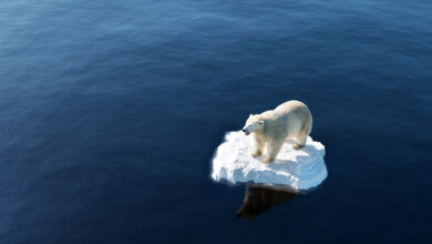 تصویر از 10 سال پس از توافق پاریس: جهان به اهداف اقلیمی نرسید