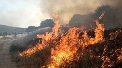 تصویر از غرب تا شرق خوزستان تحت تاثیر دود هورالعظیم