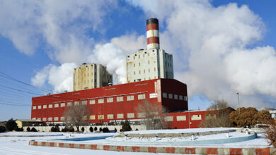 تصویر از نان زمستان را در تابستان ذخیره کردیم