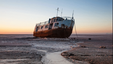 تصویر از توفان تخلیه/ مهاجرت مردان و بیکاری زنان روستاهای اطراف دریاچه ارومیه