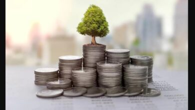 تصویر از رشد بیش از ۷۰ درصدی درآمد عملیاتی تامین سرمایه خلیج‌فارس