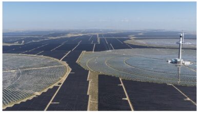 تصویر از مزرعه خورشیدی چین؛ 7 برابر منهتن!