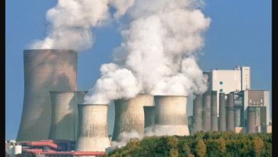 تصویر از هیچ‌گونه مازوت‌سوزی در استان تهران نداریم