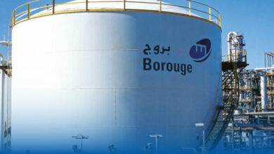 تصویر از کاهش سود پتروشیمی بروج امارات