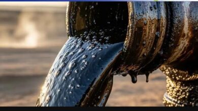 تصویر از تایید نقش بلندمدت نفت و گاز در آینده انرژی جهان توسط آژانس بین المللی انرژی