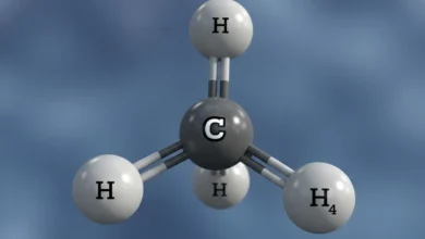تصویر از فیلم: کدام شهرهای آمریکا گاز گلخانه‌ای بیشتری تولید می‌کنند؟