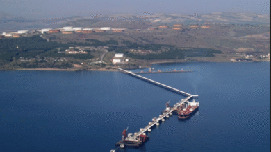 تصویر از نخستین محموله‌های نفت خام کردستان عراق از پایانه جیهان ترکیه بارگیری شد