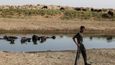 تصویر از هورالعظیم سپر بلای تأسیسات نفتی