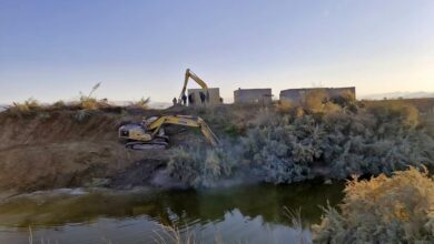 تصویر از قطع درخت به‌بهانه لایروبی رودخانه کُر