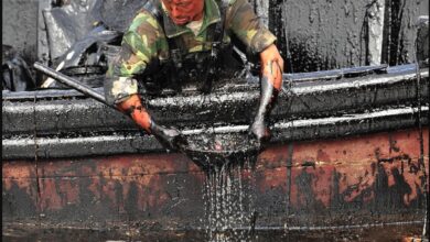 تصویر از پروژه های انرژی چین بر چه مبنایی شکل می گیرند؟