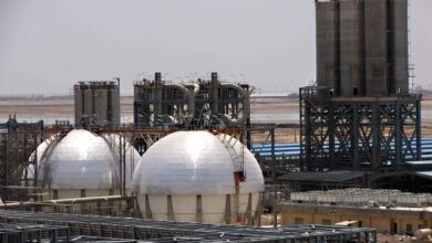 تصویر از کمبود خوراک ۲۲ درصد ظرفیت پتروشیمی را خالی نگه داشت