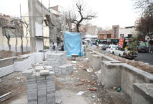 تصویر از سنگ‌فرش ریشه‌ها را می‌کُشد