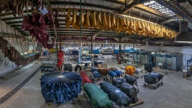 تصویر از عوامل ناامیدی صنعتگران چیست؟