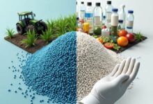 تصویر از چرا زنجیره صنعت پتروشیمی نیمهکاره است؟