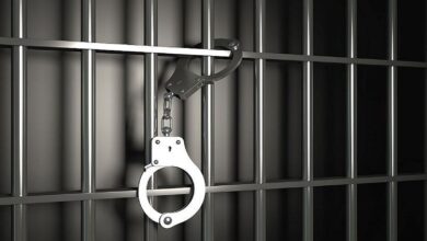 تصویر از کدام محیطزیستیها در بازداشتند؟