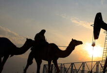 تصویر از قیمت نفت بالا رفت