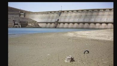 تصویر از در مجموع وضعیت سدهای تهران مساعد نیست