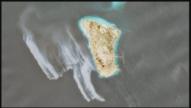 تصویر از اثرات مخرب نشتهای نفتی خلیجفارس