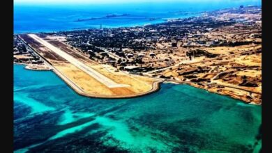 تصویر از جنگ و بحران اقتصادی، چگونه کنشگری محیطزیستی را دشوارتر میکند؟