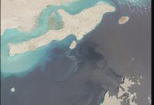 تصویر از رویترز: نشت عظیم نفت سواحل تنگه هرمز را تهدید میکند
