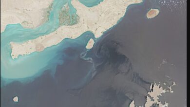 تصویر از رویترز: نشت عظیم نفت سواحل تنگه هرمز را تهدید میکند